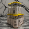 Tirzepatide 10mg
